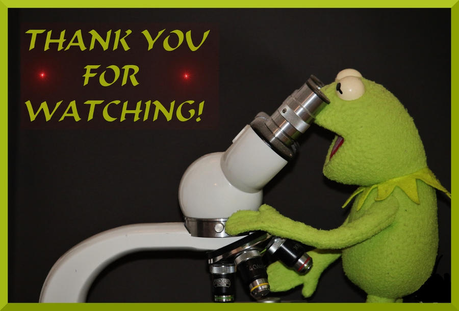 THANK YOU FOR WATCHING FROG MICROSCOPE
