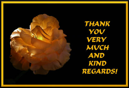 THANK YOU VERY MUCH AND KIND REGARDS - BUTTERCUP