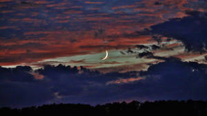 MOONDOWN