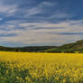 sun in may