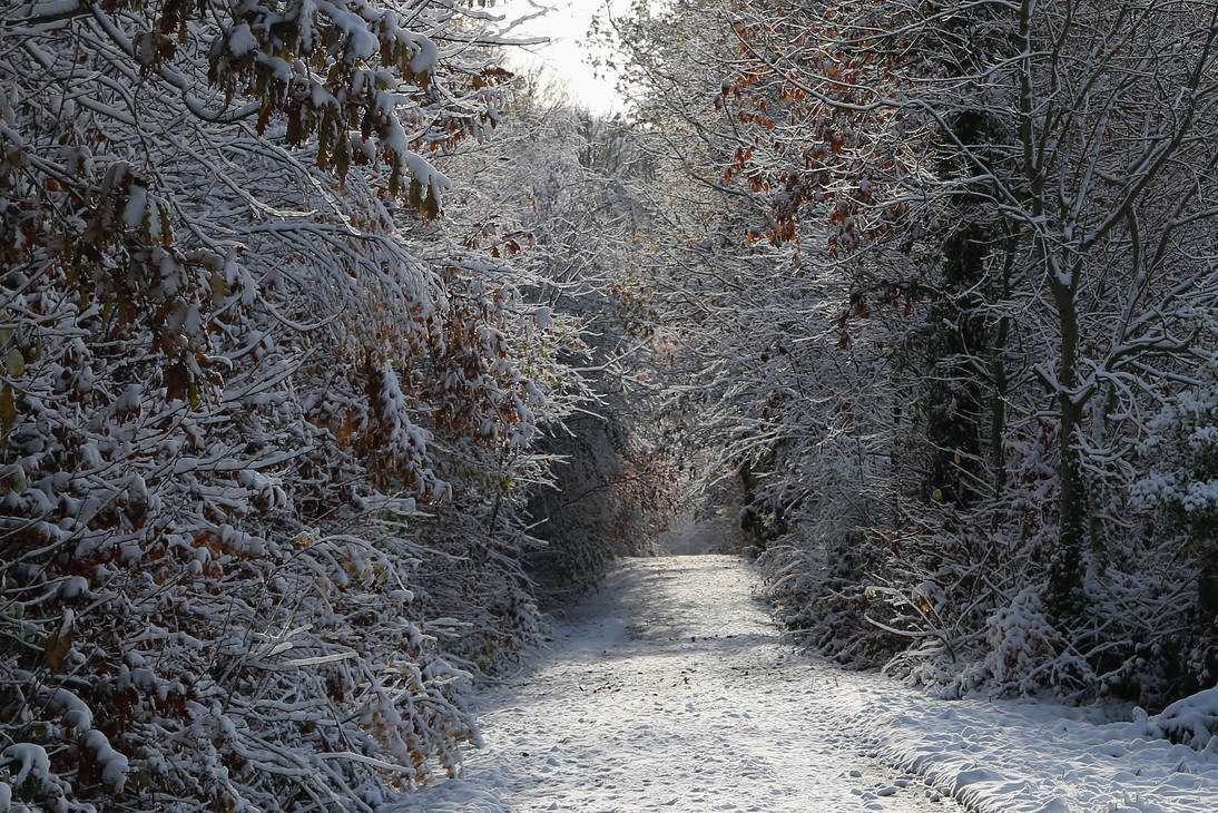 sun and snow