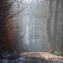frozen light