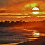 wish I will be there