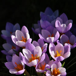 reawaken from the darkness