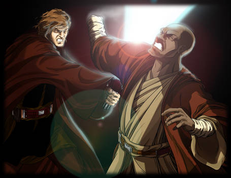 Skywalker VS Windu