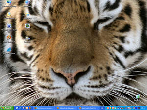 Desktop