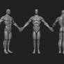 Male body study