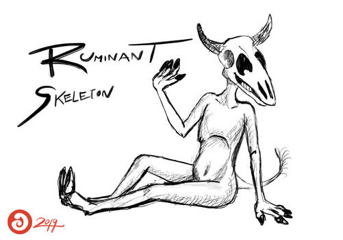 Ruminant Skeleton (Week 3)