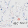 References | Hare Studies