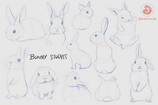 References | Bunny Studies