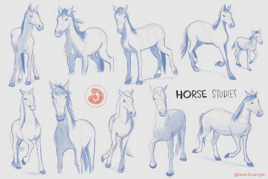References | Horse Studies
