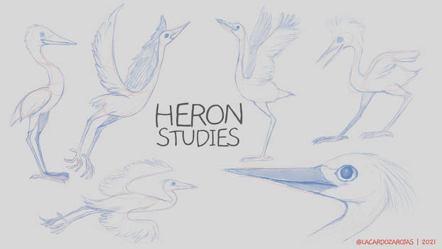 Heron Studies