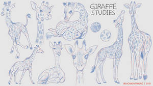 Giraffe Studies