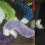 Jumbo Fox Tail Batch