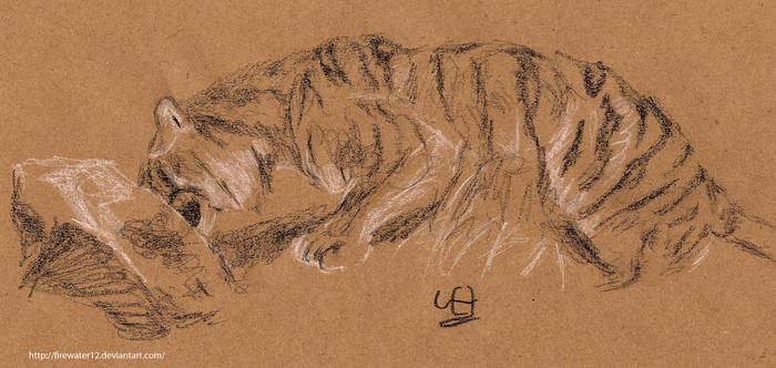 Animal sketch 001