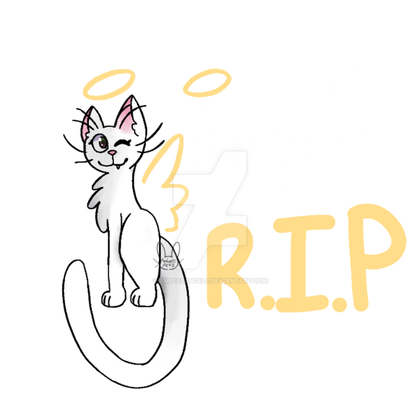 R.I.P Angel (reupload, read Desc) by AmberzAngelz on DeviantArt
