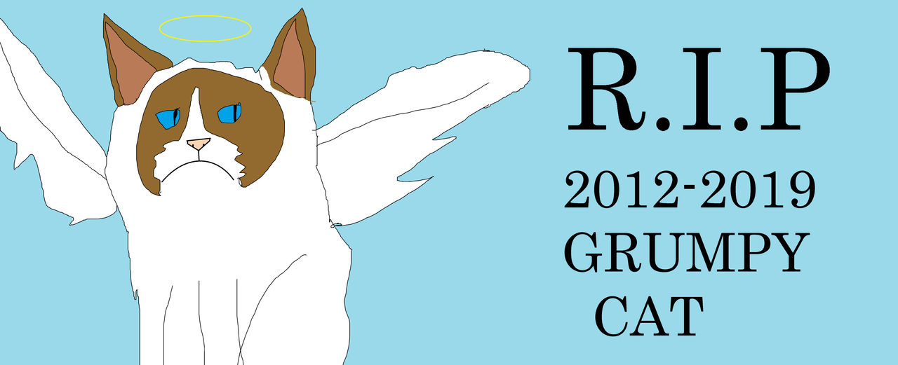 Rip Grumpy Cat 2012 2019 by AlejoFandoms on DeviantArt