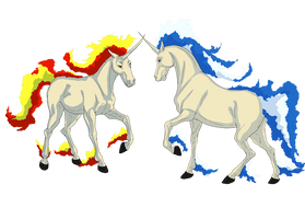 Rapidash Vs Shiny Rapidash