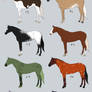 Horse Point Adopts