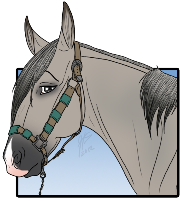 FWR MWE- Sky by samuRAI-same on DeviantArt