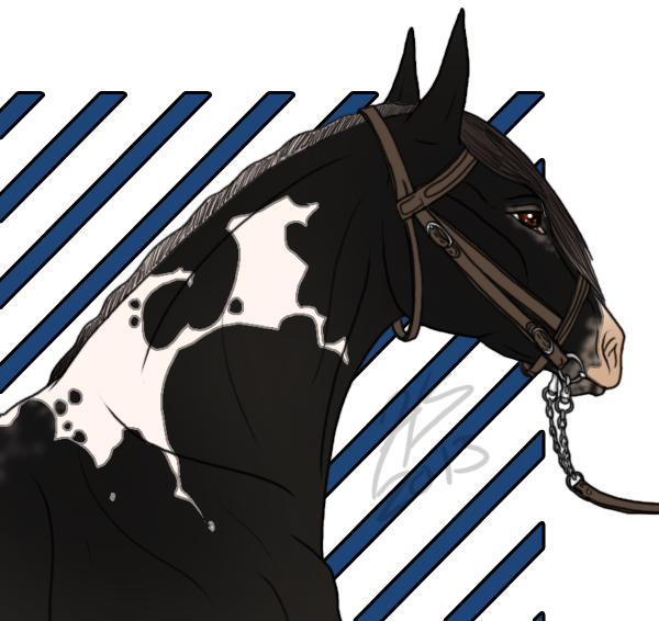 FWR: WF- Ice by samuRAI-same on DeviantArt