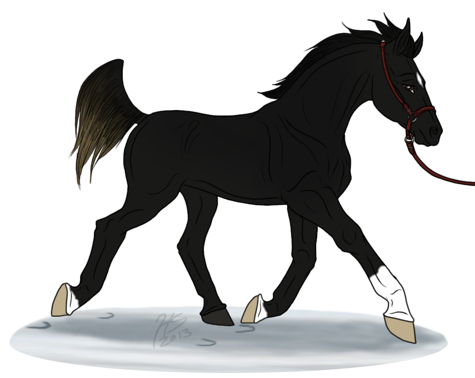 FWR: WF- Kasa by samuRAI-same on DeviantArt