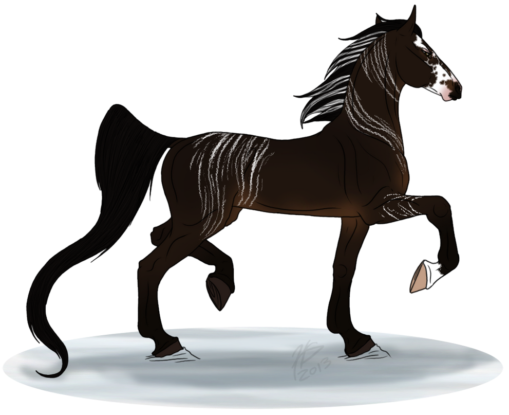 FWR: WF- Ledi by samuRAI-same on DeviantArt