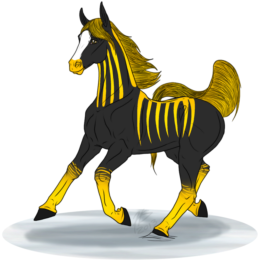 FWR: WF- Ririn by samuRAI-same on DeviantArt