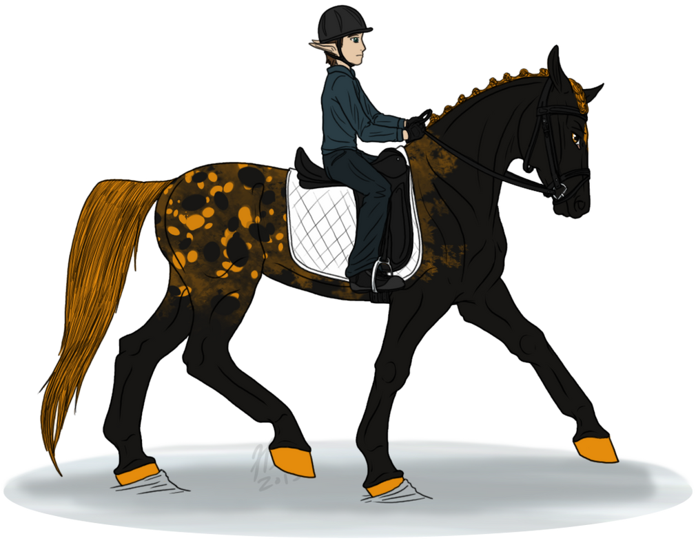 FWR: WF- Sniper by samuRAI-same on DeviantArt