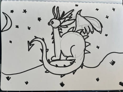 Dragon Tutorial Practice