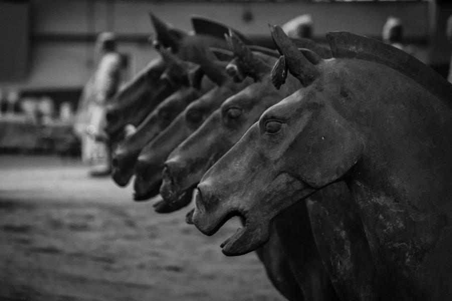 Teracotta Horses