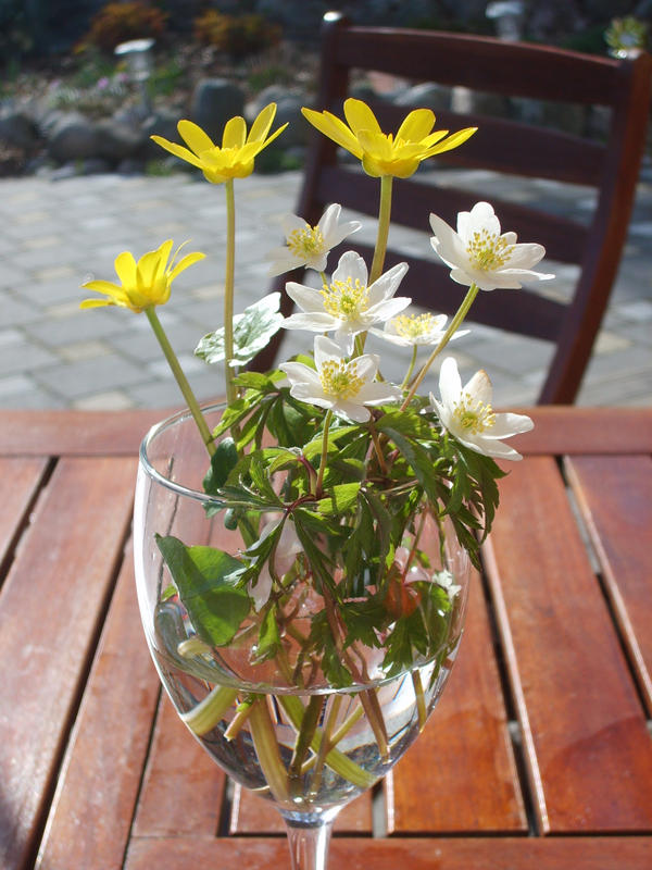 Flowers - In Wine Glass 1.