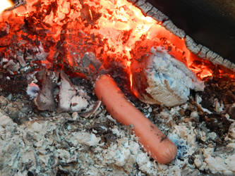 Wiener in flames