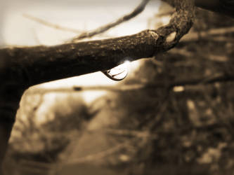 View through raindrop