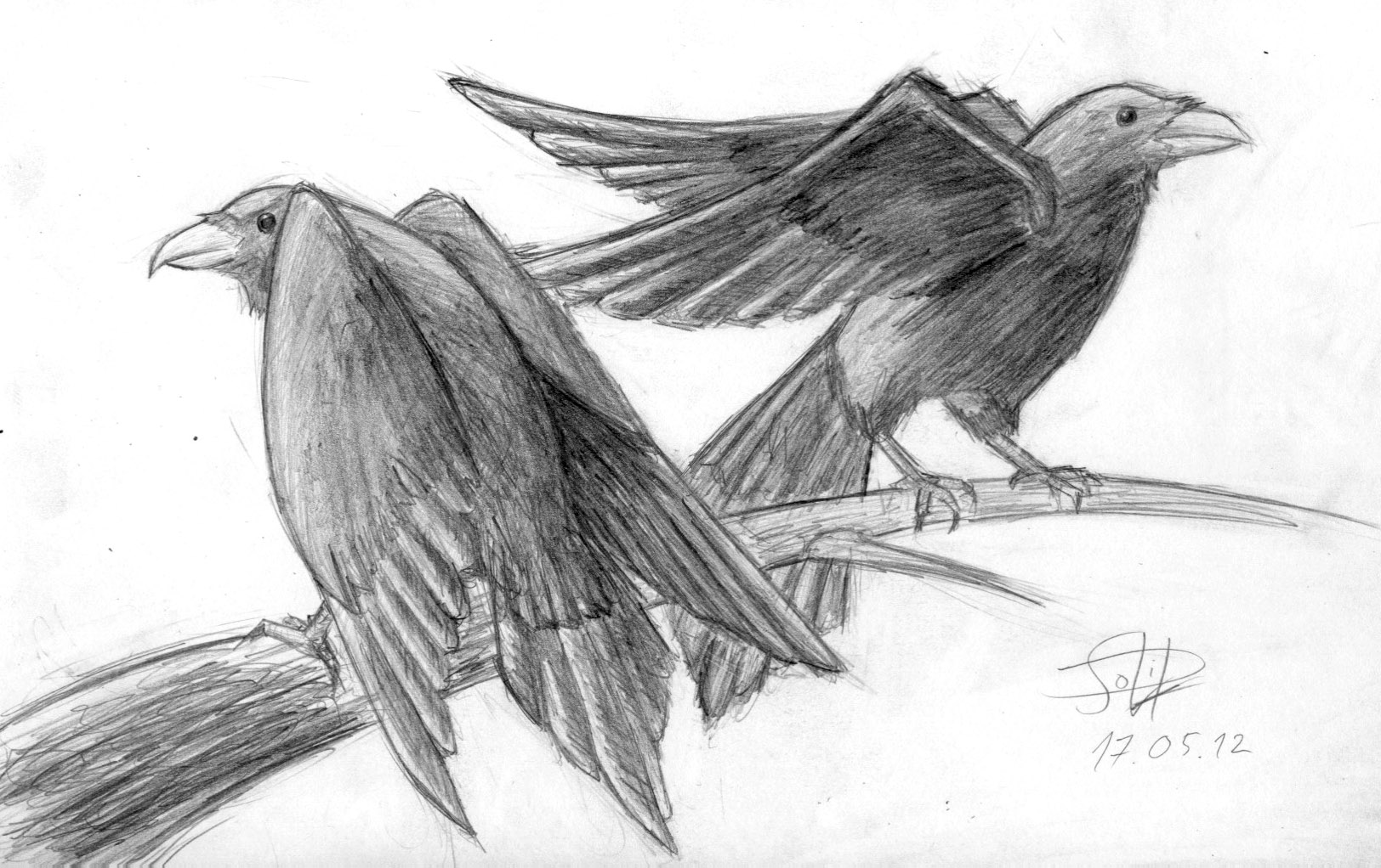 Huginn and Muninn