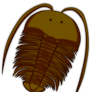 Trilobite