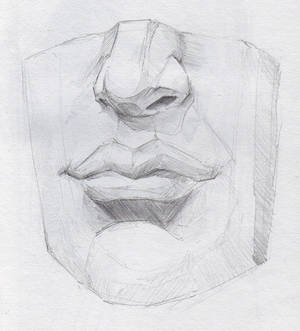 Plaster Cast Study 2