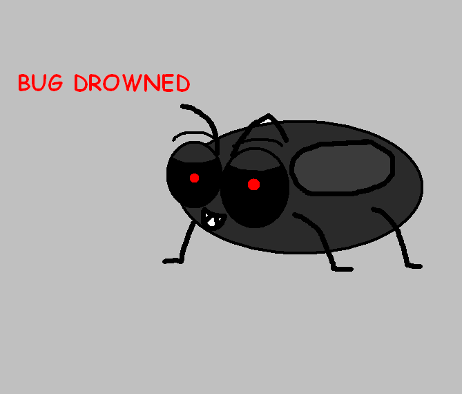 BUG DROWNED