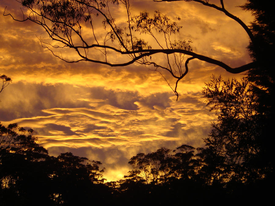 golden sunset