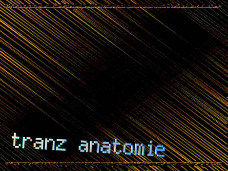 tranz anatomie2