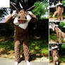 Eevee Kigurumi (2010)