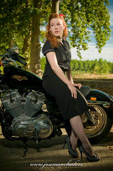 Harley Davidson Sesion I