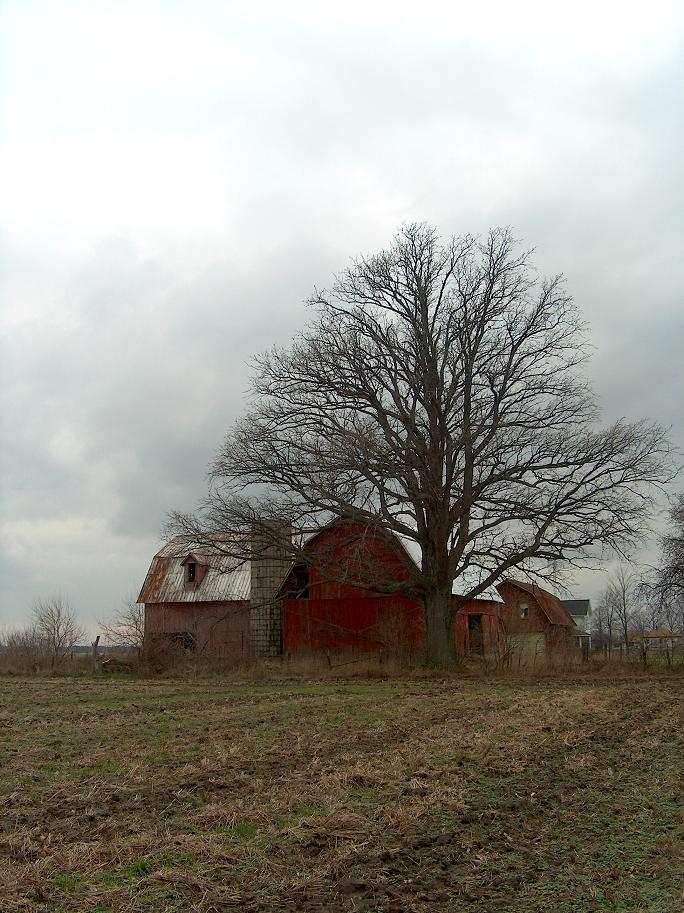 Rural America