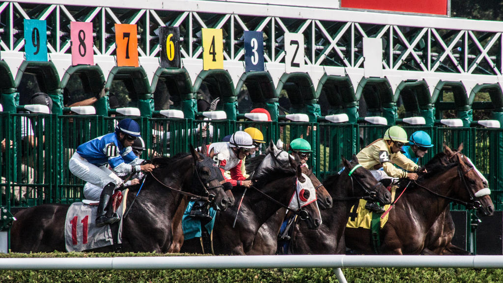 Classic Racing Startingline Starting Line by ClassicFAIL on DeviantArt