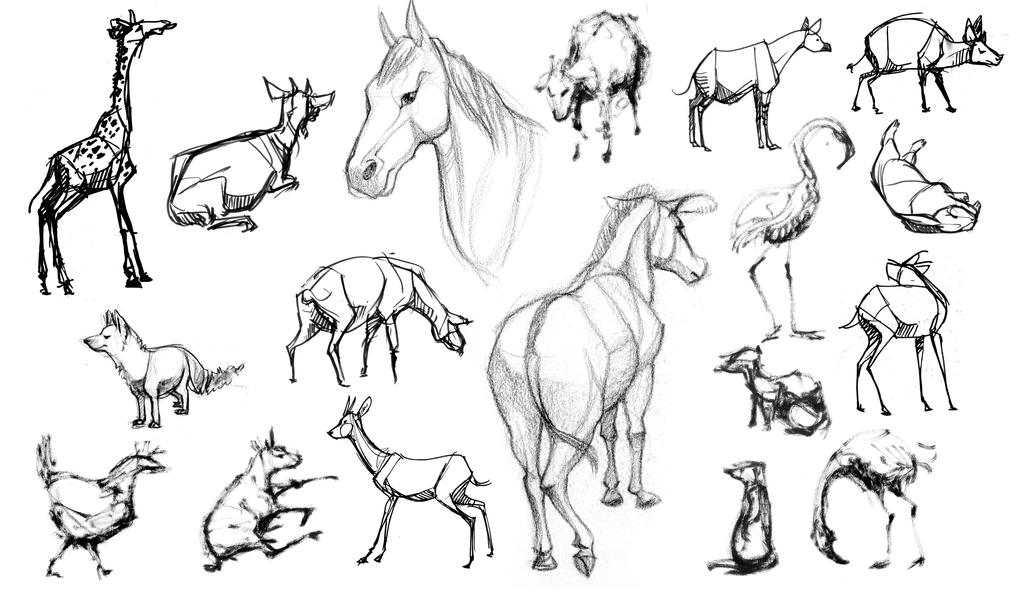 Animal Drawings by drawhound on DeviantArt