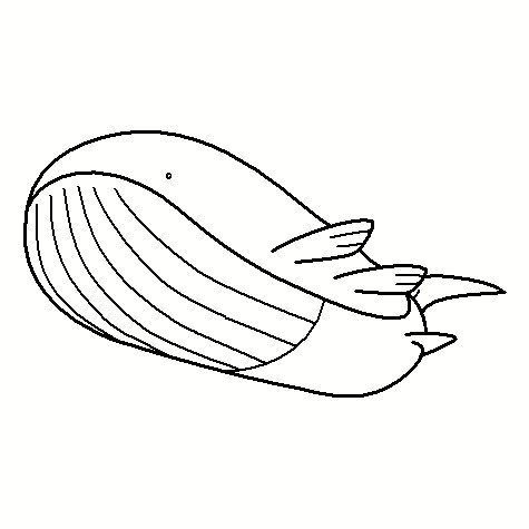 321-Wailord Coloring Page by Nikki-M-Garrett on DeviantArt