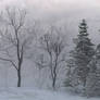 Winter Scene 7