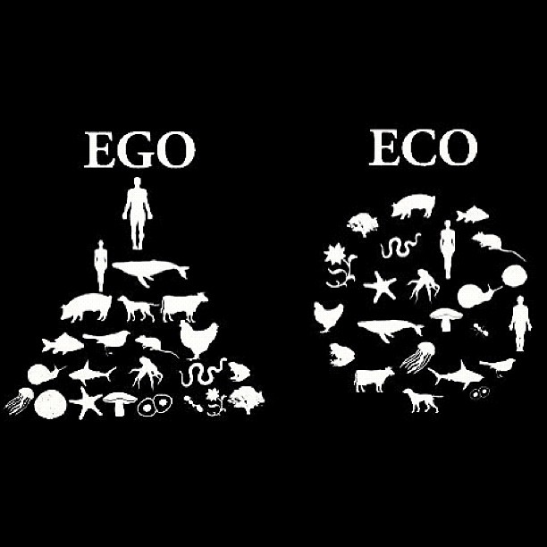 Ego Eco by eternalepiphany1 on DeviantArt