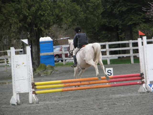 HorseShow Stock32