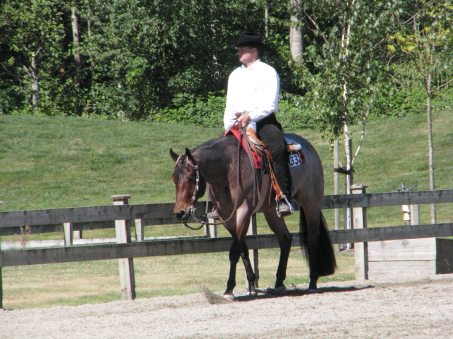 Quarter Horse Show20